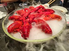 精品冰镇龙虾-红盔甲·小龙虾(人民广场店)