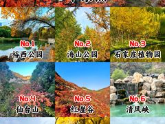 -石家庄市植物园
