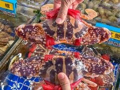 -明记海鲜大排档(巽寮湾店)