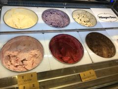 -哈根达斯(西安北郊店)