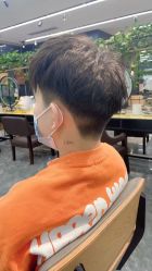 -藤野造型