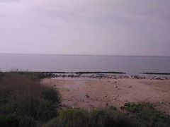 -合肥滨湖国家森林公园