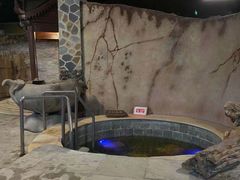 -泉城欧乐堡戏水湾艺术养生温泉