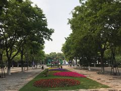 -圩墩遗址公园