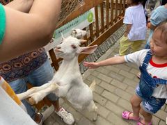 -太阳岛度假酒店