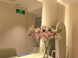 -YESIDO椰岛美容