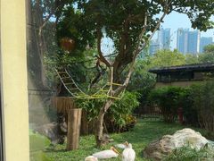 -熊猫自助餐厅.萌趣城堡(长隆熊猫酒店)