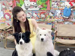 -汪说·狗咖(旺城大厦店)
