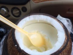 -志龙皇冠吃货椰子铺