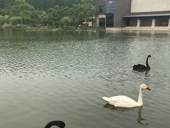 -上海怡沁园度假酒店