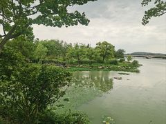 -长广溪湿地公园