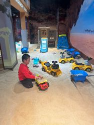 -卡通尼·Safari非洲探索乐园·生日会(金桥国际商业广场店)