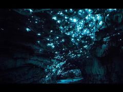 -怀托摩萤火虫洞