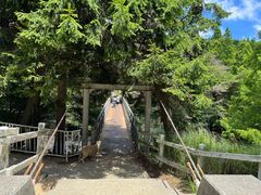 -神户市立六甲山牧场