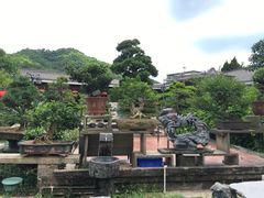 -绿华园休闲山庄