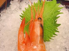 -松竹和日式料理(广厦店)