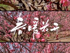 -无锡梅园公园