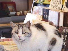 -甲乙丁書店·书茶咖·四合院