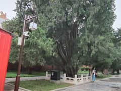 -北京市劳动人民文化宫(太庙)