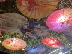 -海韵人家.海景花园经典云南菜(双廊店)