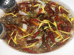 -新太二·鲜料川菜(东汇城店)