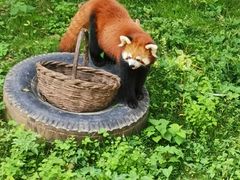 -西安秦岭野生动物园