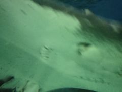 -苏州海洋馆