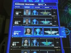 -奥兰多迪士尼动物王国乐园