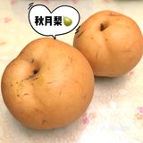 秋日瓜果飘香，爱吃水果的宝宝们有福啦[调皮]