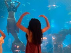 -涛·海底餐厅·美人鱼·自助餐·海底隧道(三亚海棠湾洲际度假酒店)