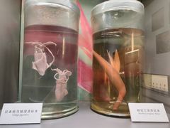 -正佳自然科学博物馆