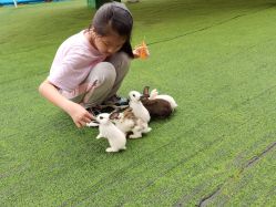 -萌宠亲子动物乐园(槐房万达店)