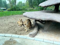 -北京野生动物园