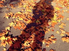 iphone_upload_pic-河南省黄河迎宾馆