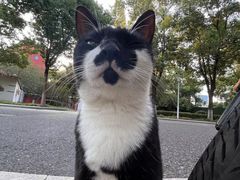 -傅家坡汽车客运站