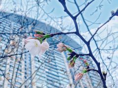 -西北湖绿化广场