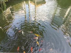 -番禺宾馆丽苑厅