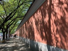 -国家图书馆·古籍馆