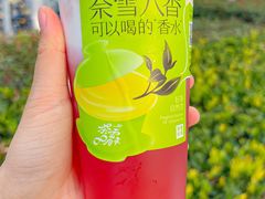 -奈雪的茶(M+世纪都会广场店)