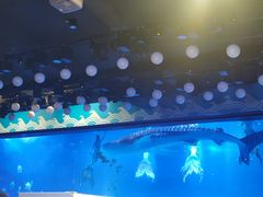 -烟台海昌鲸鲨海洋公园