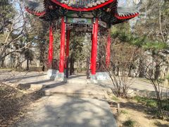 -仁和公园(顺义区)