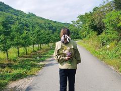 -黄椅山火山森林公园