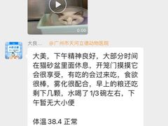 -立德动物医院·重症转诊·24H夜诊·CT·心脏彩超(顺德中心分院)