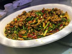 -新概念来凤鱼(璧山店)