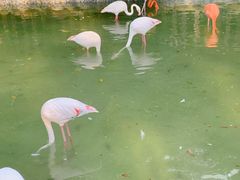 -上海野生动物园