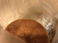 -多乐之日(公益西桥店)