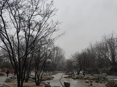 -大望京公园