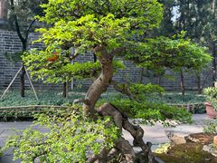 -成都武侯祠博物馆