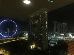 -新加坡泛太平洋酒店