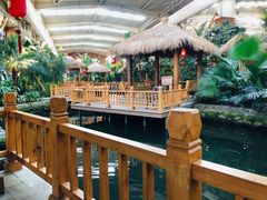 景点-南宫五洲植物乐园